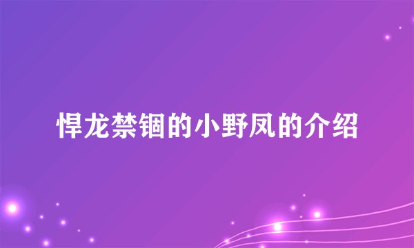 悍龙禁锢的小野凤的介绍