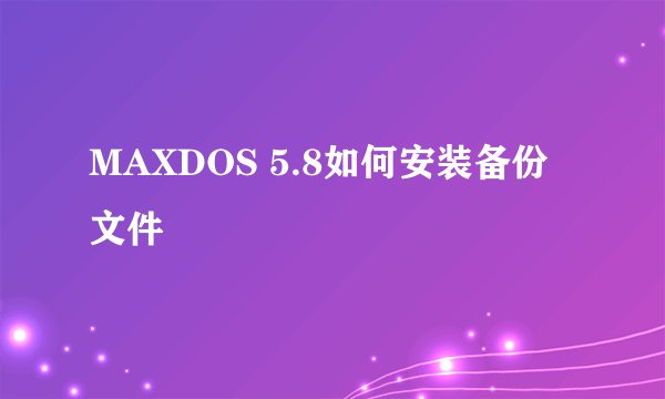 MAXDOS 5.8如何安装备份文件