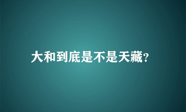 大和到底是不是天藏？