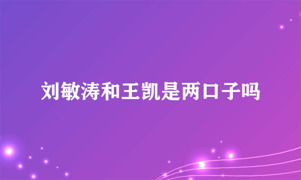 刘敏涛和王凯是两口子吗