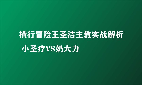 横行冒险王圣洁主教实战解析 小圣疗VS奶大力