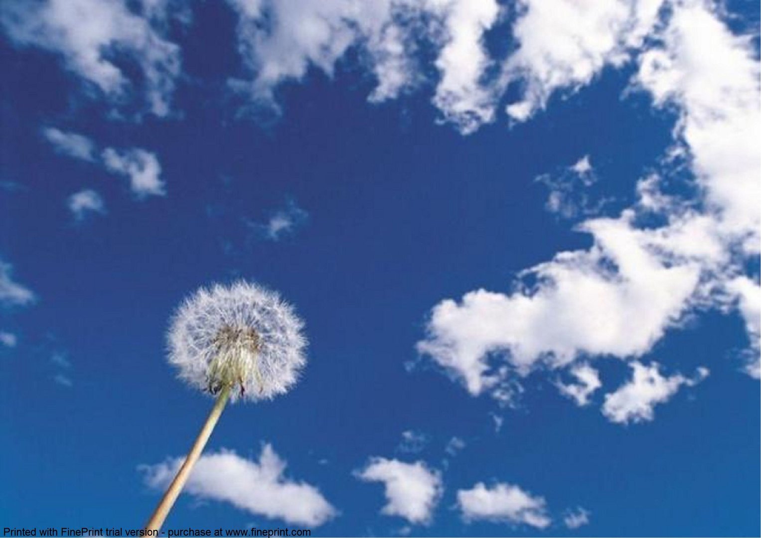 小小天空的介绍