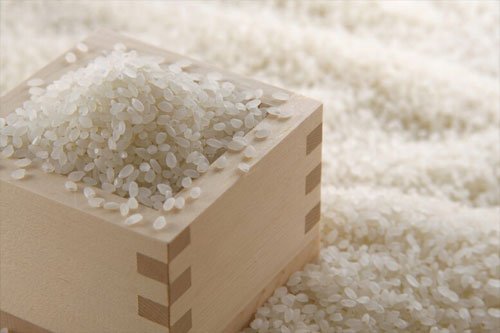 大米Y5的拍照功能