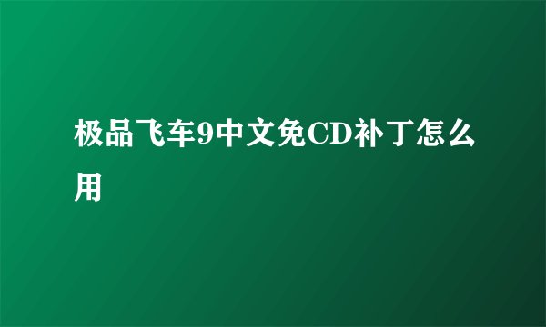 极品飞车9中文免CD补丁怎么用