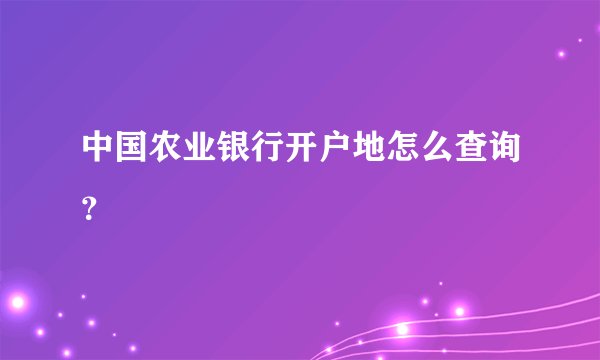 中国农业银行开户地怎么查询？