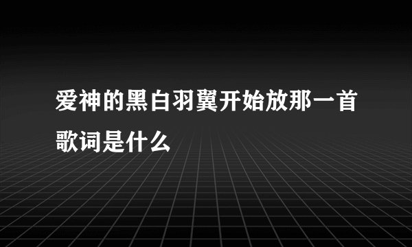 爱神的黑白羽翼开始放那一首歌词是什么