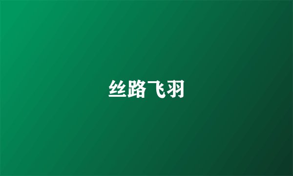 丝路飞羽