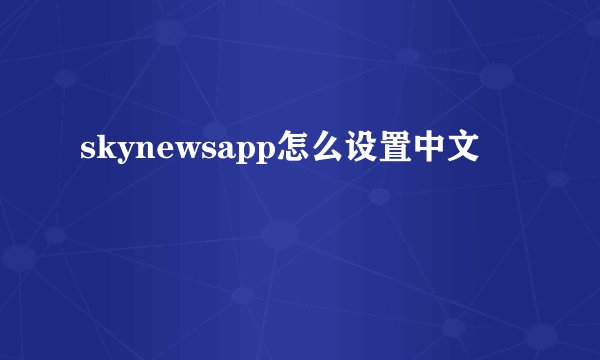 skynewsapp怎么设置中文
