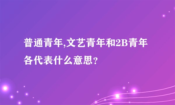 普通青年,文艺青年和2B青年各代表什么意思？