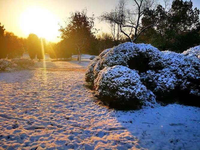 雪后阳光的美句