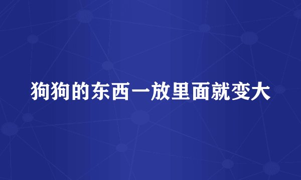 狗狗的东西一放里面就变大