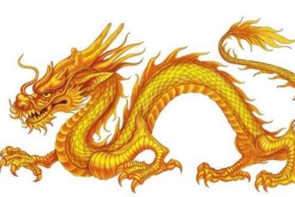 设下圈套打一最佳生肖动物