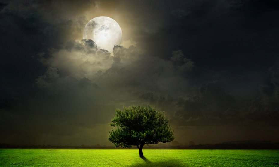 月亮十六圆幽默句子