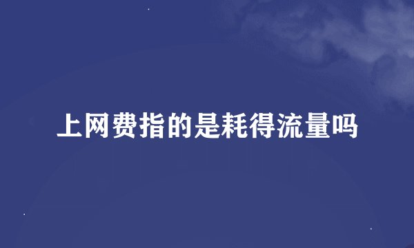 上网费指的是耗得流量吗