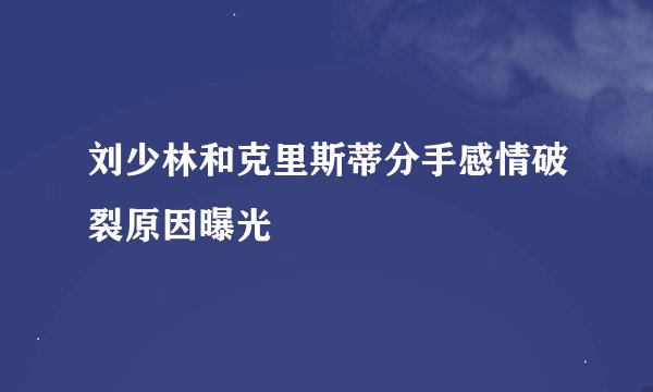 刘少林和克里斯蒂分手感情破裂原因曝光