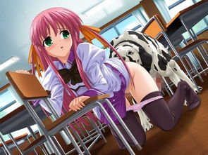 饲育白书的梗概