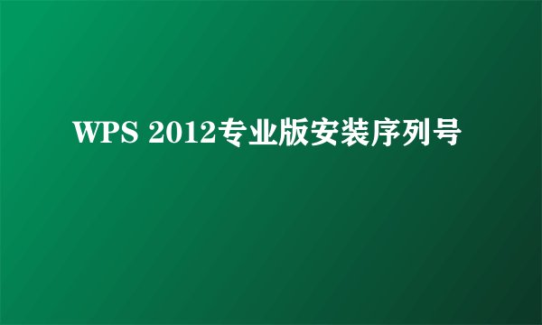WPS 2012专业版安装序列号