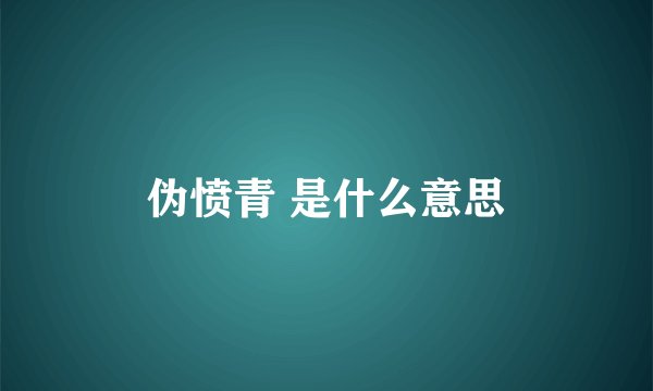 伪愤青 是什么意思