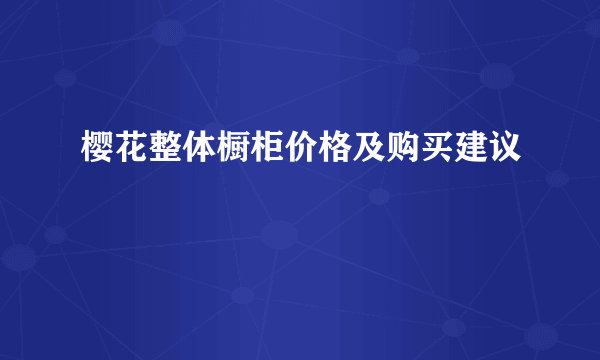 樱花整体橱柜价格及购买建议