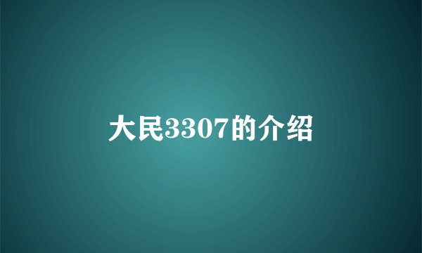 大民3307的介绍