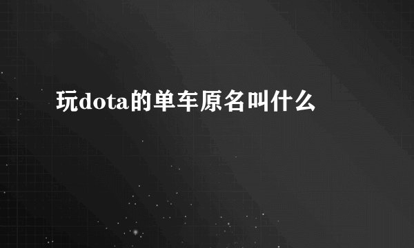 玩dota的单车原名叫什么