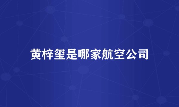 黄梓玺是哪家航空公司