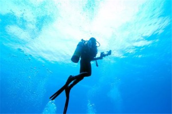 你觉得潜水算是高消费运动吗？