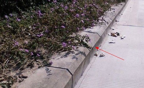 大连话 道牙子什么意思