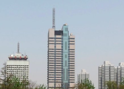 山东电视台共有哪几个频道?