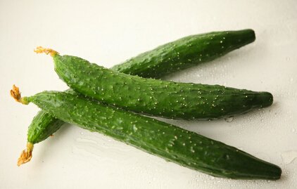 绝育黄瓜的介绍