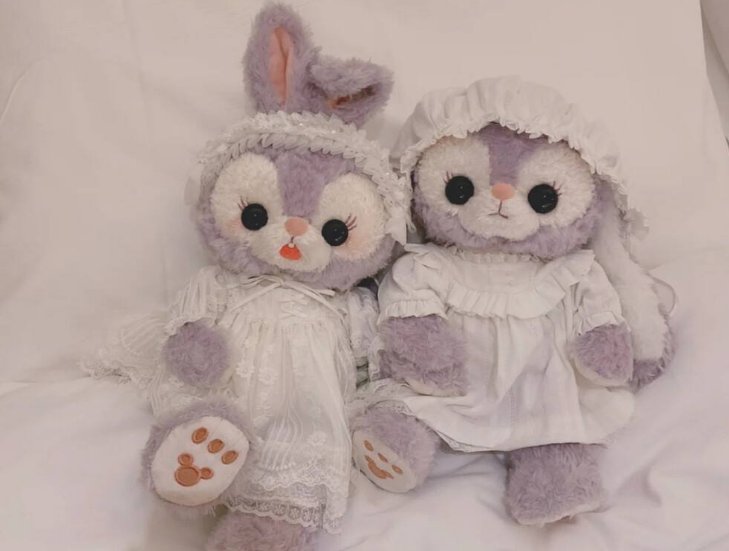 上海一95后姑娘收藏数百只星黛露，迪士尼玩偶是否值得这样收藏？