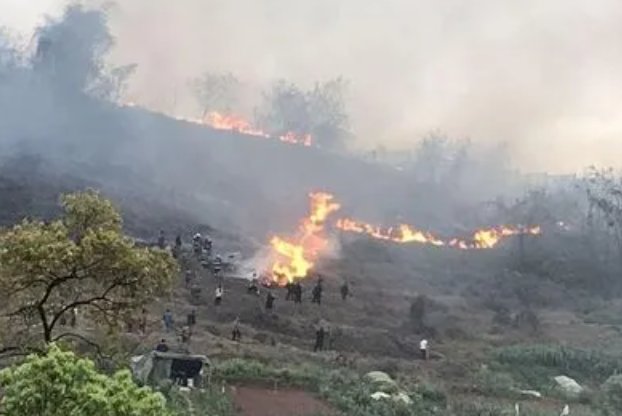 3D还原重庆山火:7天10余起山火,为何山火如此频发?