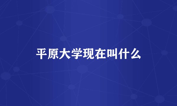 平原大学现在叫什么