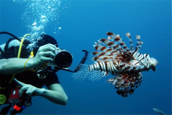 你觉得潜水算是高消费运动吗？