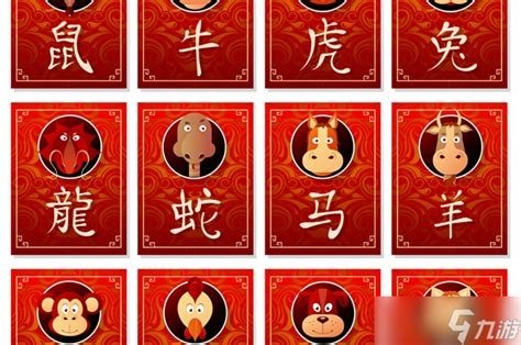 后生小子打一精准生肖