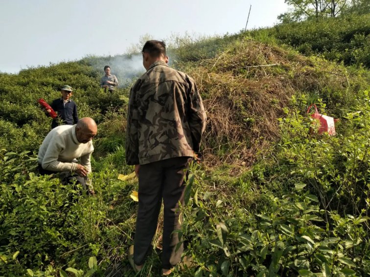 孙子上坟十大忌讳