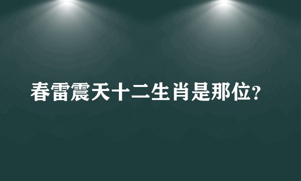 春雷震天十二生肖是那位？