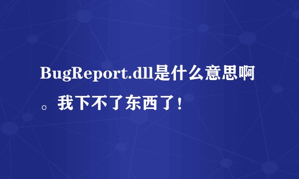 BugReport.dll是什么意思啊。我下不了东西了！