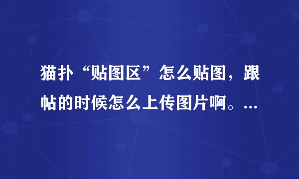 猫扑“贴图区”怎么贴图，跟帖的时候怎么上传图片啊。我有2000MP。