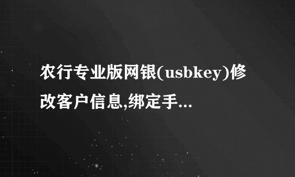 农行专业版网银(usbkey)修改客户信息,绑定手机号码从那里修改？