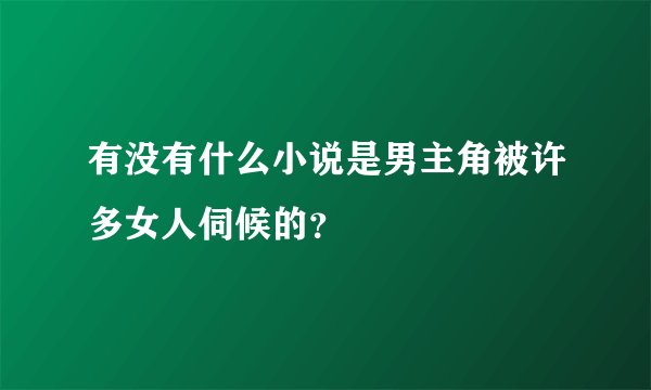 有没有什么小说是男主角被许多女人伺候的？