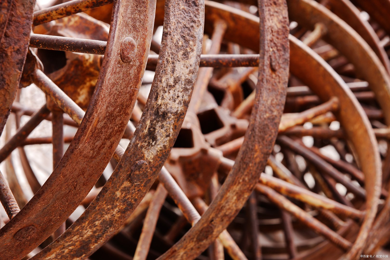 2021被禁的动漫有什么