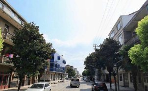 上海市南汇区文苑街是个什么梗?