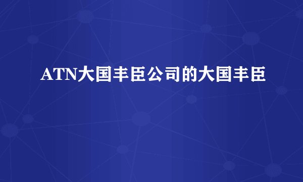 ATN大国丰臣公司的大国丰臣