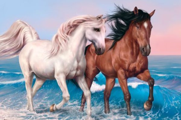 扬名后世是什么生肖