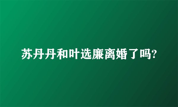 苏丹丹和叶选廉离婚了吗?