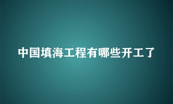 中国填海工程有哪些开工了