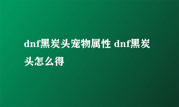 dnf黑炭头宠物属性 dnf黑炭头怎么得