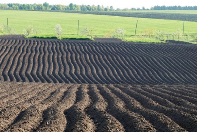 沃的拼音和部首